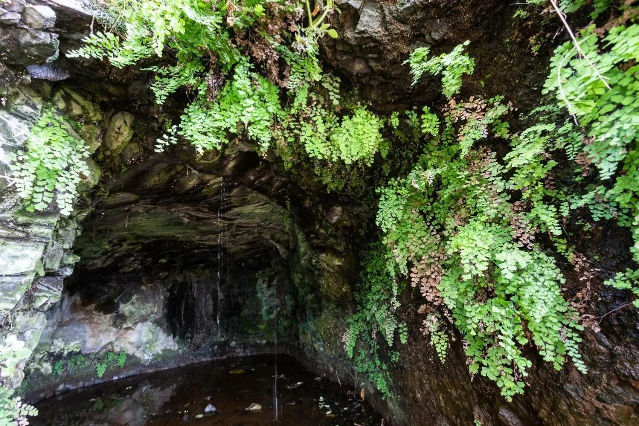 #1 Cave House Anaga, Unique Stay, Mountains And Private Sauna, Los Pinos